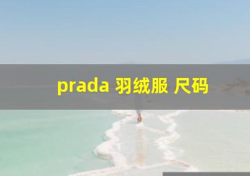 prada 羽绒服 尺码